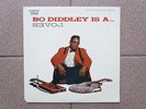 Bo Diddley Is A Lover