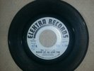 The Beefeaters  Please Let me Love You  Pre - Byrds  Elektra promo  RARE