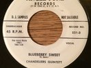 WHITE LABEL PROMO doowop rarity CHANDELIERS QUINTETT Blueberry Sweet ANGLE TONE