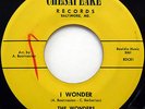 The WONDERS 45 I Wonder / Summwer Love CHESAPEAKE label DOO WOP e4555