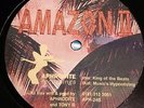 Amazon II - King of The Beats 12