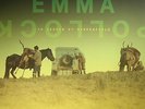 POLLOCK, Emma - In Search Of Harperfield - Vinyl (LP)