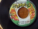 Bright Wynter - Words Of Fire - Fullfillment Of Prophecy 7