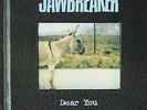 Jawbreaker: Dear You LP