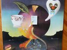 NICK DRAKE 