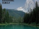 The Handsome Family - Through the Trees