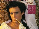 Adam Ant Strip Sealed LP UK Press Poster Ants Rock New Wave Punk Marco Pirroni