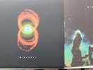 PEARL JAM Binaural original US double album EX