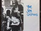 THE SEA URCHINS SOLACE 7