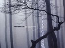 TRENTEMÖLLER - THE LAST RESORT 2 VINYL LP NEW+