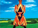 David Bowie - Earthling Vinyl LP - FRM 42627