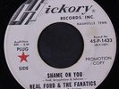 NEAL FORD & FANATICS: Shame On You / Gonna Be My Girl 45 (dj, faint label spot)