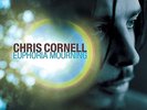 CHRIS CORNELL - EUPHORIA MOURNING - 180 GRAM AUDIOPHILE VINYL - NEU & OVP