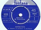 Fabulous Four - Rotten Rats  Rare Swedish Garage fuzz monster