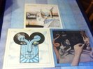 The Chameleons Strange Times, Script Of The Bridge & What Does..lp
