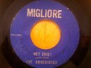THE AMBERJACKS 45 Blue Jaunte w/Hey Eriq MIGLIORE Orig  garage BFTG