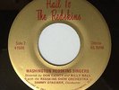 HAIL TO THE REDSKINS 45 record S.SCHREIBER NFL FOOTBALL official fight song HEAR