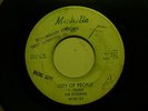 Rare Michigan Garage Single The Illusions 45 City of People/Wait Till the Summer