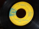 THE DETROIT SEX MACHINES  FUNK 45 