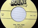 RE-VELS cha cha Toni Dream my darling dream SOUND pop doowop 45 w6169