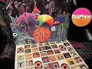   SHRINK 1967 ORIG   BEE GEES   ROBIN GIBB MOD PSYCH Sgt Pepper BEATLES