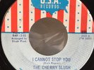 THE CHERRY SLUSH I Cannot Stop You/Don't Walk Away USA  #895 Garage Psych