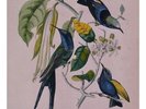 SUSUMU YOKOTA Sakura 2x LP NEW VINYL Leaf Ambient Techno