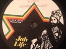 BARRINGTON LEVY - Teach Me Culture. Jah Life 10' Roots Killer. JA Press.