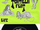 TORTILLA FLAT * Facts *  Krautrock Psychedelic Beat Garage 45 PS Aronda Records