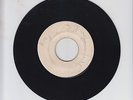 BLANK(RG)/ WORKING NIGHT AND DAY  -  RAFAEL GRAY  (72 REGGAE ROOTS 7