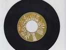 BLANK(PB PRE)/ MESSAGE FROM A BLACK MAN  -  PRINCE BUSTER ( 68 ROCKSTEADY 7