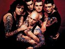 Rose Tattoo - Scarred for Life (2016)  180g Vinyl LP  NEW/SEALED  SPEEDYPOST