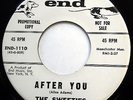THE SWEETIES 45 After You / Paul's Love NEAR MINT Doo Wop PROMO End e5088
