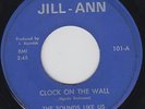 The SOUNDS LIKE US clock on the wall 45 rare FREAKBEAT mod GARAGE psych FUZZ ?
