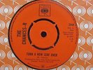 The Chances-R-Turn a New Leaf Over/Do It Yourself