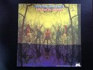 AMERICAN BLUES - Do Their Thing. Pre-ZZ TOP ORIGINAL UNI RECORDS Garage Rock EX-