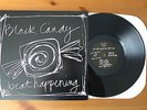 BEAT HAPPENING BLACK CANDY ORIG 1989 LP K RECORDS CALVIN JOHNSON C86 TWEE POP