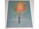 David Sylvian - A Fire in the Forest - Trophies 3 + 2 Ticket stubs