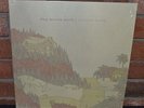 TINY MOVING PARTS - Pleasant Living Limited BLUE VINYL + Download & Poster NEW