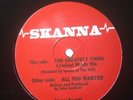 Skanna. All You Wanted/greatest Thing-criminal Minds Remix/mint/old Skool/12
