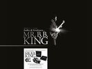 B.B. King - Ladies and Gentlemen, Mr. B.B. King