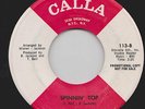 60s GIRL GROUP NORTHERN SOUL ORLONS SPINNIN' TOP + ANYONE HAD HART CALLA DJ ORIG