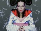 Björk - Homogenic