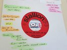 Northern Soul - TRADE MARTIN - SHE PUT THE HURT ON ME - STALLION 1003  Press