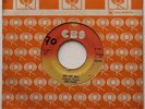 PINK FLOYD - Run Like Hell / Don't Leave Me Now - RARE COSTA RICA 45