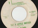 RARE ORIG NORTHERN SOUL 45 - THE FI-DELS - TRY A LITTLE HARDER - KEYMEN -CLASSIC