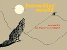 Howlin' Wolf - Moanin' in the Moonlight