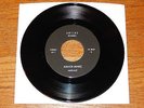 JUNIOR MINTZ - FRANK ZAPPA Redunzl / Inca Roads 7