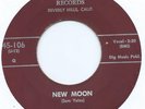 R&B DOO WOP 45 - PREMIERS 