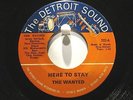 The Wanted Detroit Sound 222  Here to Stay b/w In the Midnight Hour  60's Garage